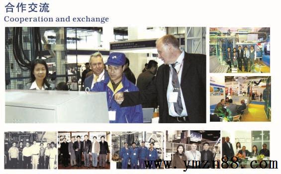 參編國家及行業(yè)標(biāo)準(zhǔn)　銀馬透水磚機實力鑒證