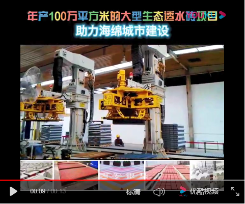 雙機(jī)并列碼垛機(jī)器人現(xiàn)場實(shí)拍視頻