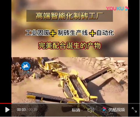 荷蘭磚制磚機(jī)生產(chǎn)荷蘭磚實(shí)拍視頻